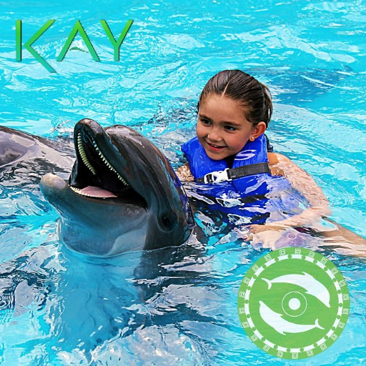 Maya Kay Dolphinarium