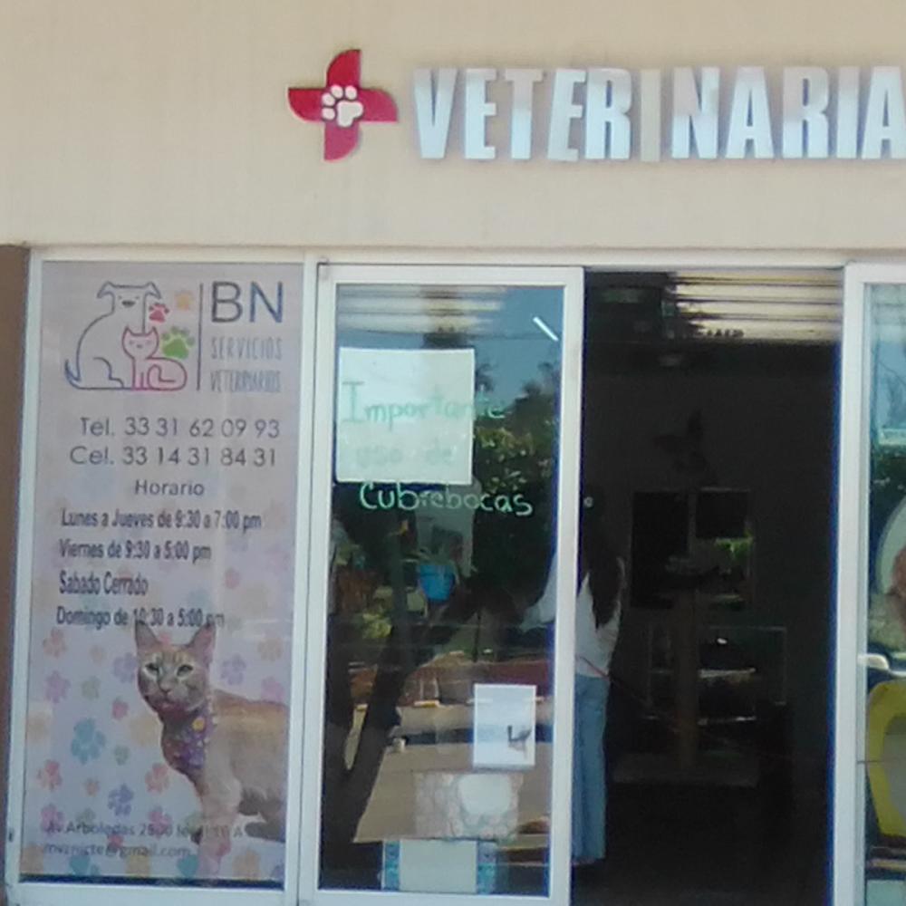 BN servicios veterinarios
